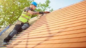 Best Roof Ventilation Installation  in Scenic, AZ